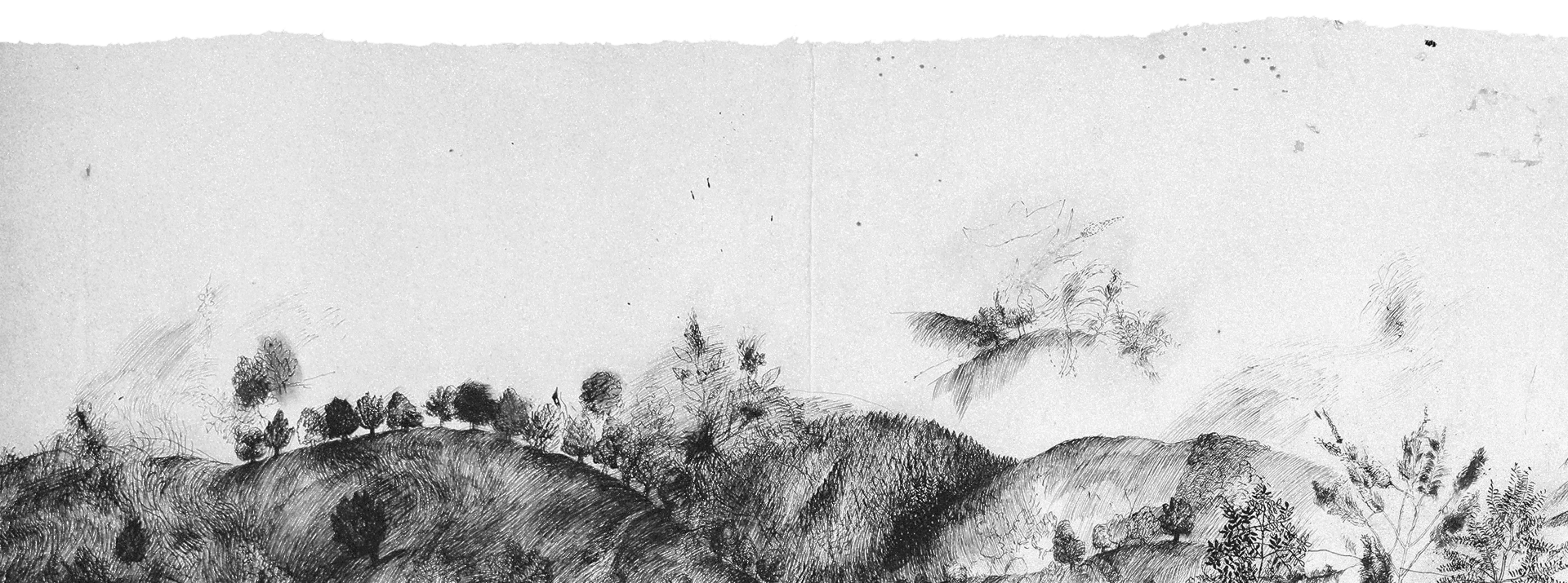Footer Background Desktop