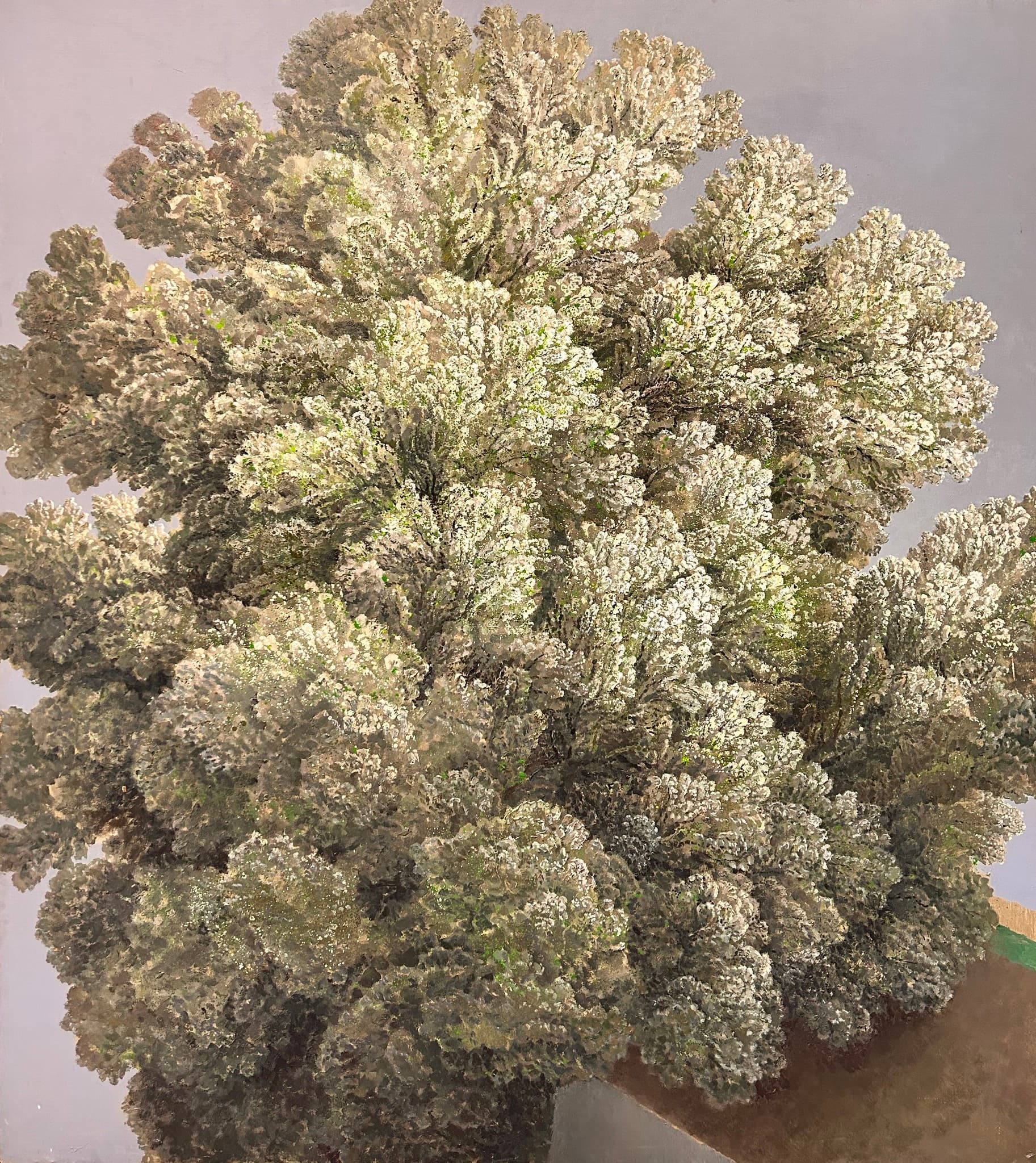 A tree crown